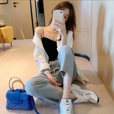 驯龙高手:归家