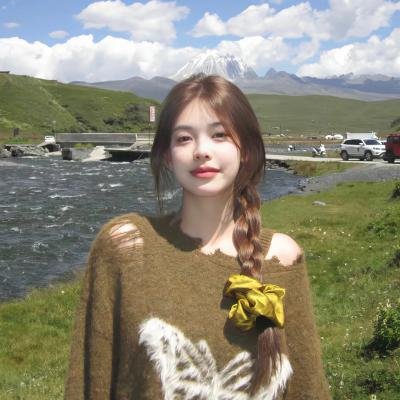 显而易见的傻瓜:电影版